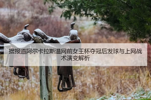 ju-bao-dao-a-er-ka-la-si-wen-wang-qian-nv-wang-bei-duo-guan-hou-fa-qiu-yu-shang-wang-zhan-shu-yan-bian-jie-xi-2-212.jpg
