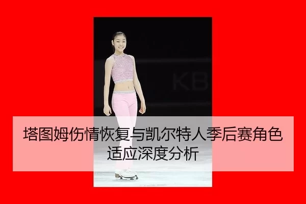 塔图姆伤情恢复与凯尔特人季后赛角色适应深度分析
