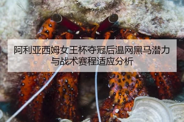 a-li-ya-xi-mu-nv-wang-bei-duo-guan-hou-wen-wang-hei-ma-qian-li-yu-zhan-shu-sai-cheng-shi-ying-fen-xi-2-614.jpg