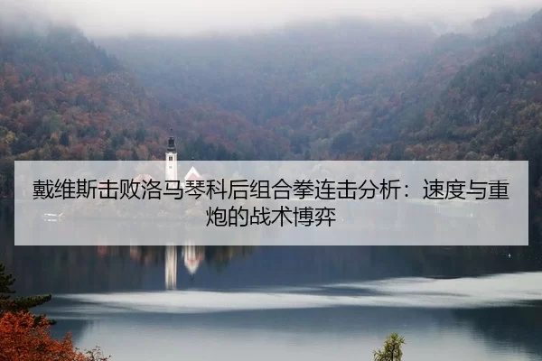 戴维斯击败洛马琴科后组合拳连击分析：速度与重炮的战术博弈